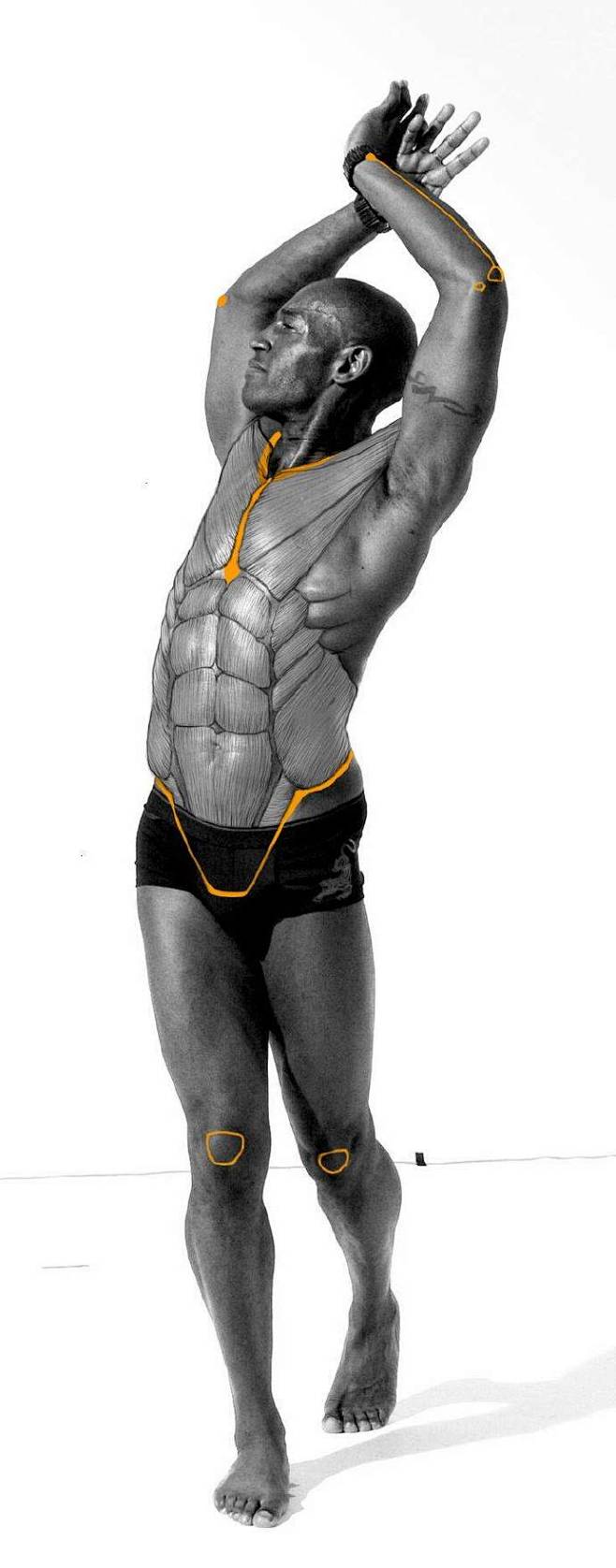 男体肌肉 ​​​​