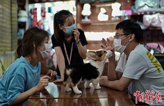 萌宠经济：年轻人花钱求“治愈”？