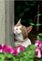 Enjoying The Sun: 