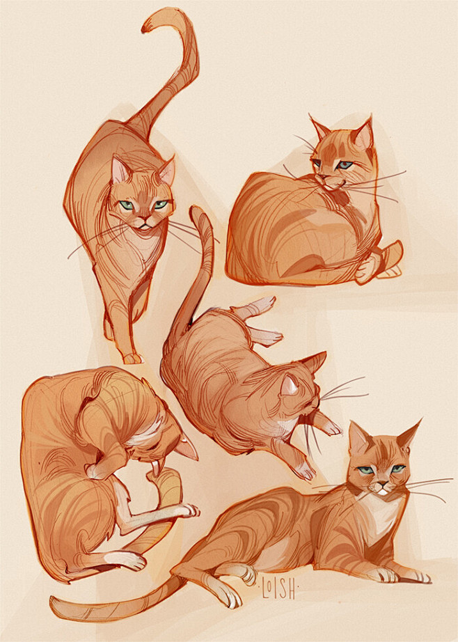 Lois van Baarle