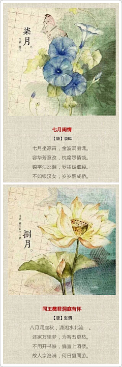 今天不拍照采集到节气