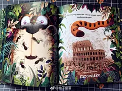 『绘本推荐』－《Byc jak tygrys》
O『绘本推荐』－《Byc jak tygrys》
#柚子插画# ​​​​