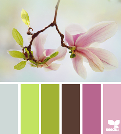 blossom hues
