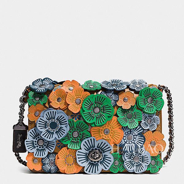 coach立体花朵链条包