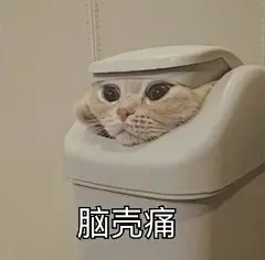 今天的表情包原图精选~
饭吃了吗？姐妹 ​​​​