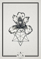 #tattoo##纹身##图案#Flower and geometric lines tattoo drawing | SV.A (Andrey Svetov) - <3 geometric: