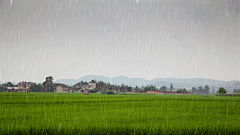 为爱守望采集到动态下雨图