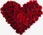 红色心形玫瑰花