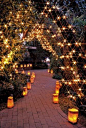 outdoor patio filled with all these lights? Yes, please.: 