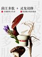 东边野兽菌王面霜舒缓抗老抗氧精华霜滋润淡化皱纹修护修复面膜霜-tmall.com天猫