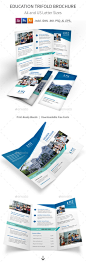 Education Trifold Brochure - Informational Brochures