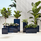 blox hi-gloss square navy planters : Shop blox hi-gloss square navy planters.   Navy planter squares up sleek and modern.  Protected for indoor and outdoor settings, hi-gloss lacquered galvanized steel plays up refined industrial to dramatic effect. 