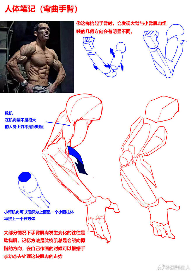整理了一些手臂的知识点，希望能对大家有所...