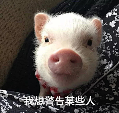 Crush丶采集到表情包