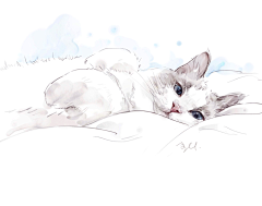 速画本采集到画猫，宠物画像，猫咪画像，猫咪手绘