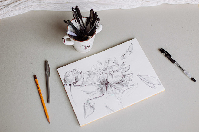 Botanical sketchbook...