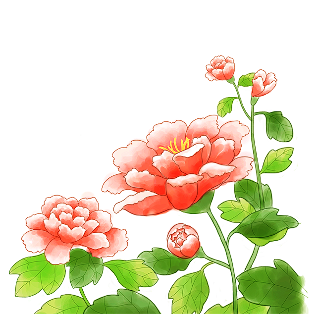 春季鲜花牡丹绿叶手绘元素_PNG：