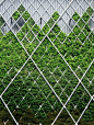 【景观垂直绿化设计图集下载】绿墙/墙面坡面绿化/立体绿化
