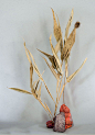 Dried Ikebanas by Sarah Illenberger : <p>As resident artist at Villa Lena, the famous Italian concept hotel from André Saraiva, Sarah Illenberger benefited from all the natural elements belonging to the property. With them as starting poi