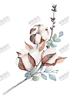 水彩棉花  【酷图网】水彩棉花,圣诞水彩鹿,水彩树叶树枝,圣诞节装饰,圣诞花环,手绘树枝,圣诞节,手绘圣诞节,树枝,树叶,枝叶,圣诞素材,树枝免扣素材,花朵,手绘花朵,金色素材,金色,