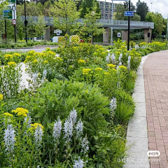 萍叶何田田采集到花境设计