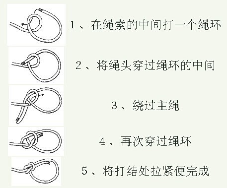 百度图片搜索_称人结的搜索结果