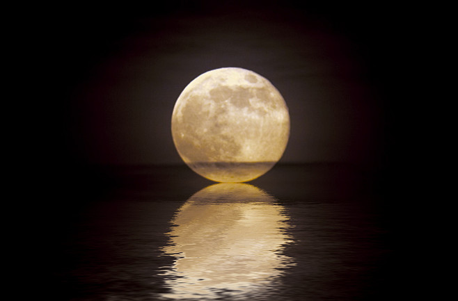 全部尺寸 | Rising Moon (Explore) | Flickr - 相片分享！