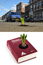 Asphalt Handbook planter & Asphalt jungle from type-b / Marc ter Horst  | Photography: Ingrid Koenen