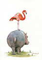 Hippo Art Painting - Hippo With Flamingo by Juan Bosco