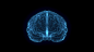3d animation graphic design of brain and brain stem. 3d animation of human brain. medical research of brain activity. deep learning, ai and modern technology 3d render.