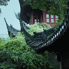 骑风7采集到门楼