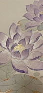 国风紫色系壁纸（莲花、鸢尾）