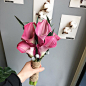 플라워봄날 청주꽃집 (@flower.bomnal)的Instagram主页 | Tofo.me: Instagram网页版