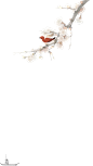 梨花