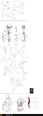 长春豆子工作室游戏美术课程-人体结构01