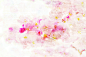 粉色的抽象樱花背景