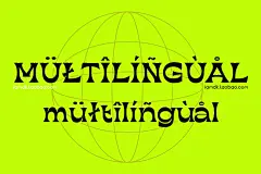 10套现代经典欧洲风海报杂志排版设计逆反差英文字体AIPS安装包 That That Hand Picked Font Bundle插图109