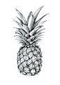 Pineapple Art Print: 