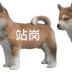Q10000000采集到呃呃呃