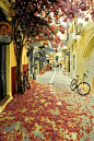 落叶#干尼亚-希腊
#fallen leafs #Chania - Greece