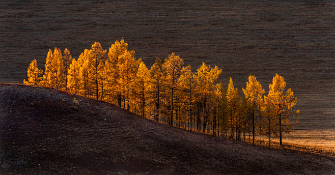 Sunset light by Haim...