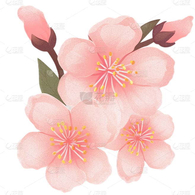 植物通用粉色插画桃花花朵元素素材