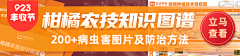 大萌神是Y兔酱采集到天天学农知识付费（工作）