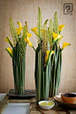 Ikebana: Arte floral Japonés: 
