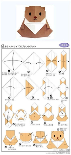 ACpSt_徐小猫采集到折纸教程