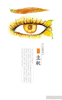 《摸鱼集•二十四节气》