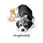 Just wanted to introduce you to our cutest and newest furry friend - our Little Beagle! #dogs #dogsofinstagram #beaglesdaily #alexwoo #littleicons #beagle #lovegold #madeinny  http://www.alexwoo.com/little-animals-beagle-in-14kt-yellow-gold.html