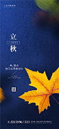 立秋节气移动端海报
