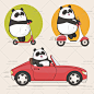536号滚滚大熊猫可爱表情包拟人日韩插画印刷矢量源文件设计素材-淘宝网