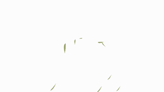 树叶飘落gif图_百度图片搜索-花瓣网